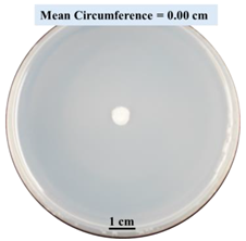 Biomimetics 09 00251 i001