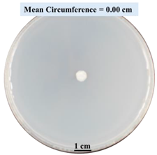 Biomimetics 09 00251 i004