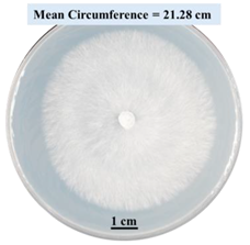 Biomimetics 09 00251 i006