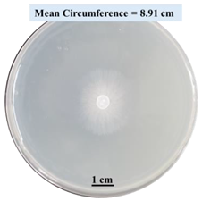 Biomimetics 09 00251 i008