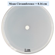 Biomimetics 09 00251 i011