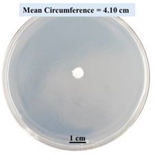 Biomimetics 09 00251 i012