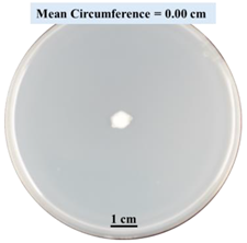 Biomimetics 09 00251 i013