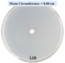 Biomimetics 09 00251 i014