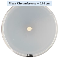 Biomimetics 09 00251 i015