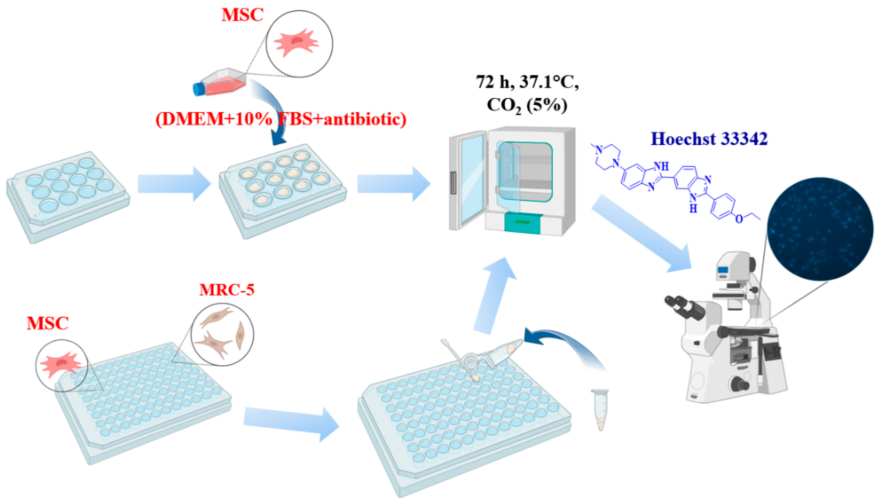 Biomimetics 09 00252 g001