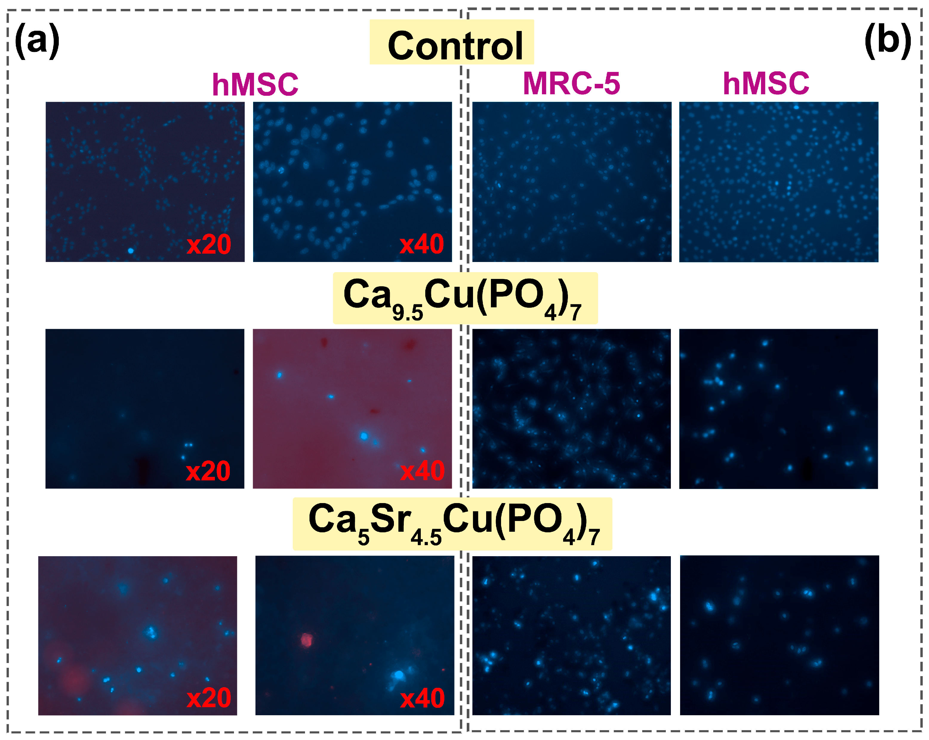 Biomimetics 09 00252 g007