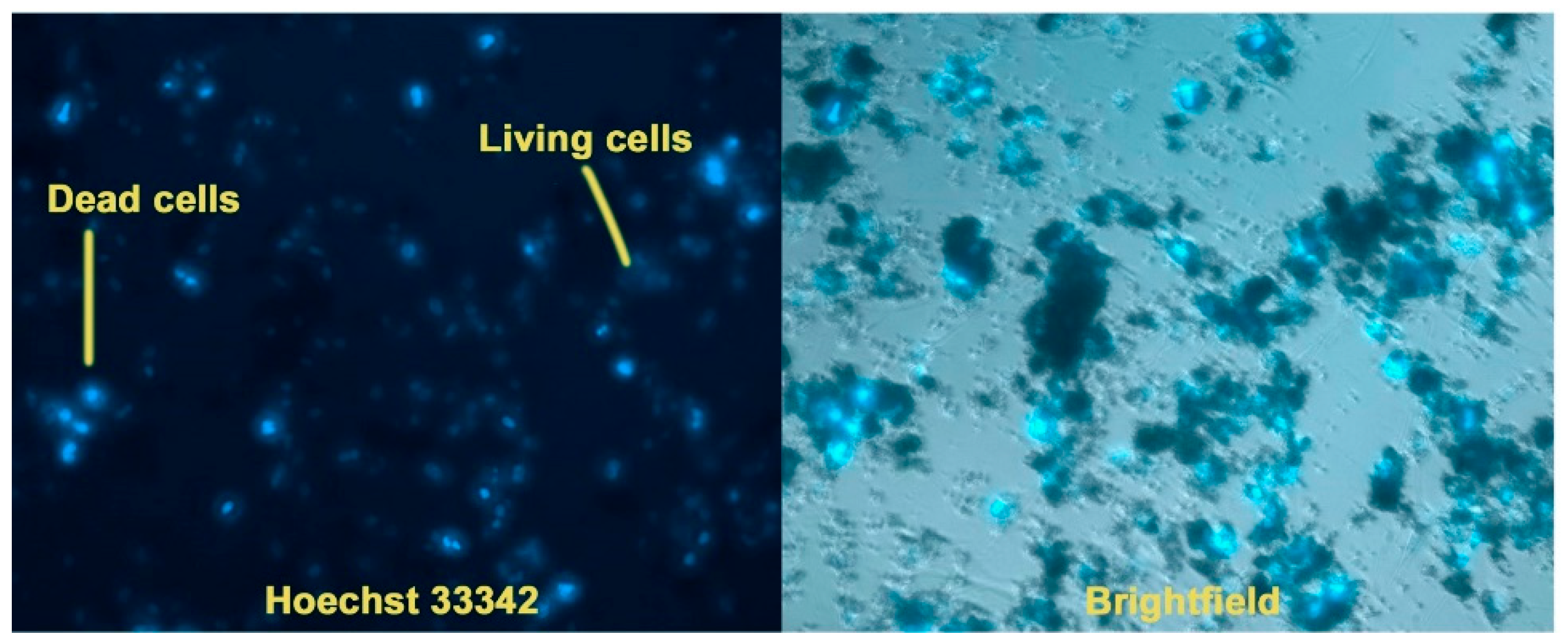 Biomimetics 09 00252 g008