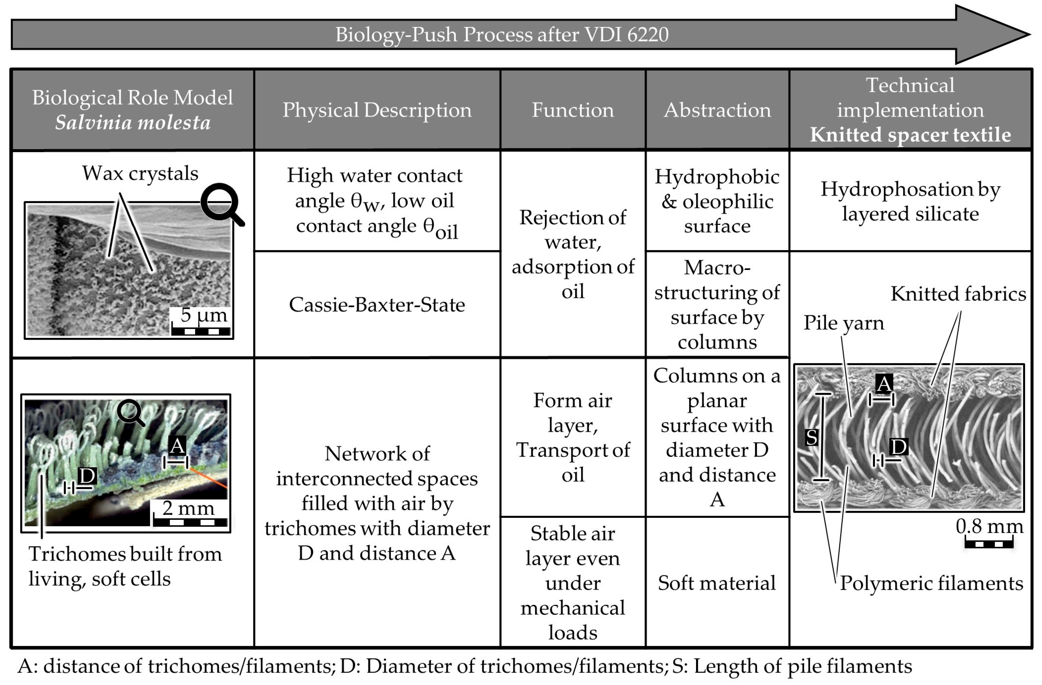 Biomimetics 09 00261 g002
