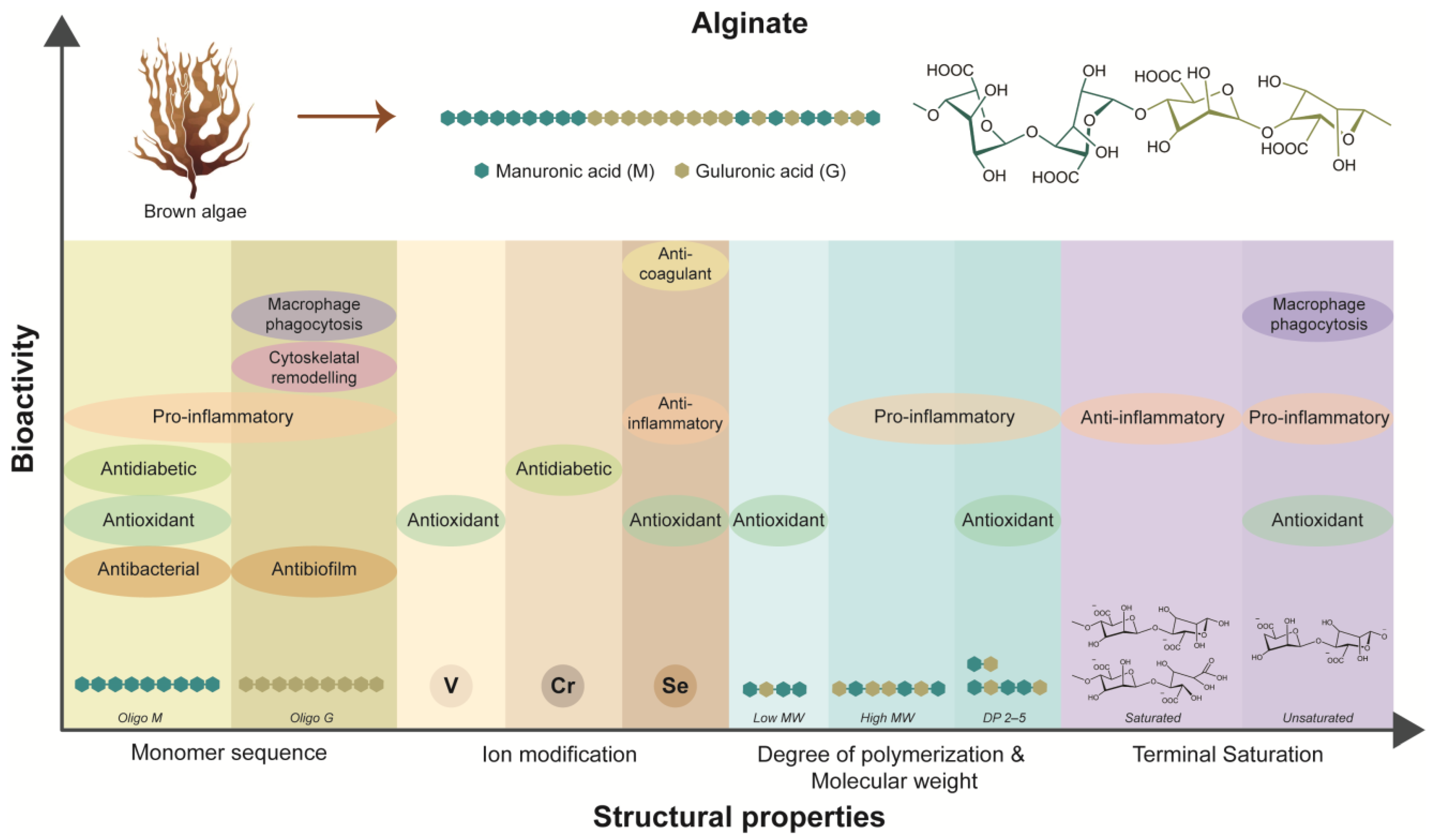 Biomimetics 09 00275 g002