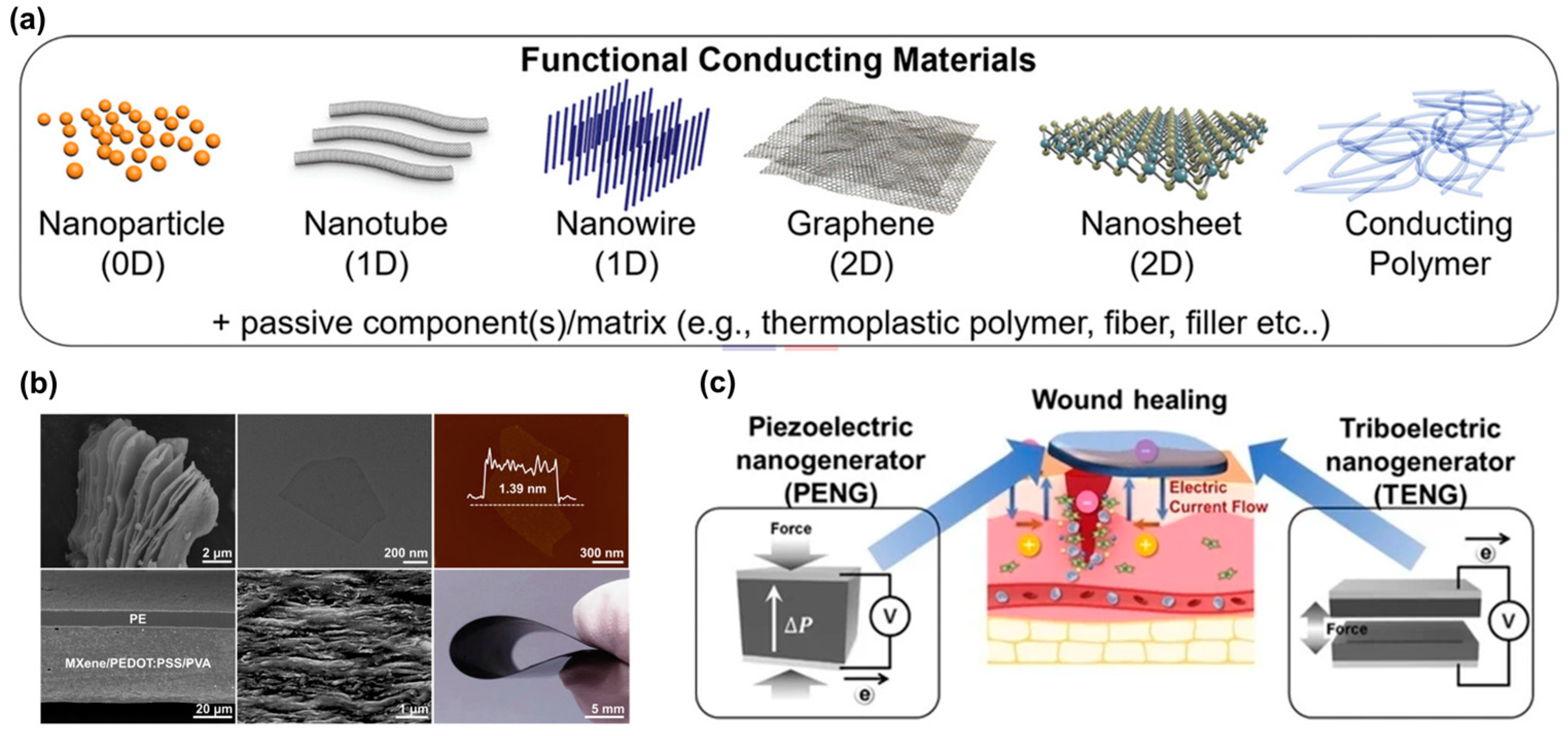 Biomimetics 09 00278 g012