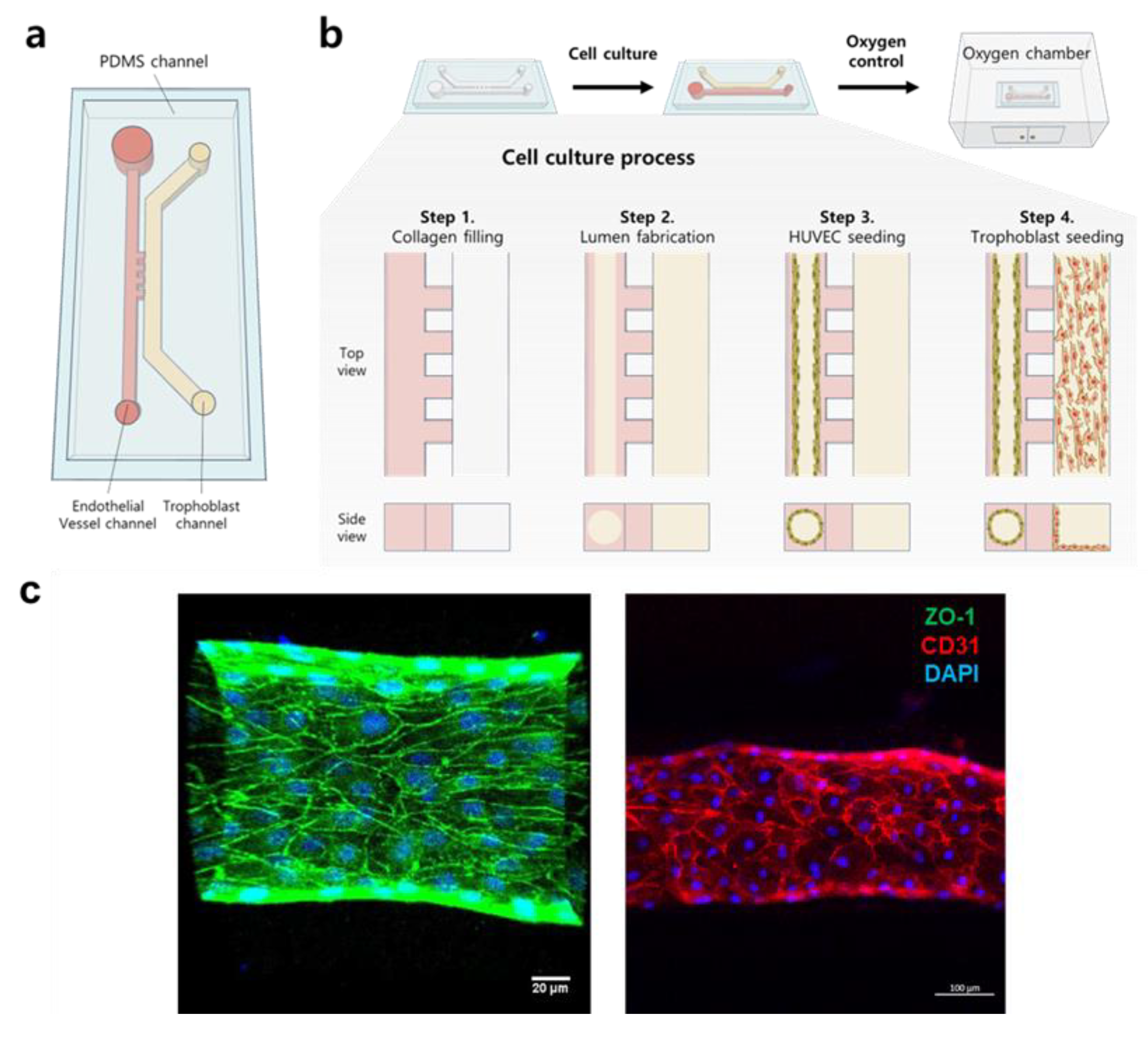 Biomimetics 09 00289 g002