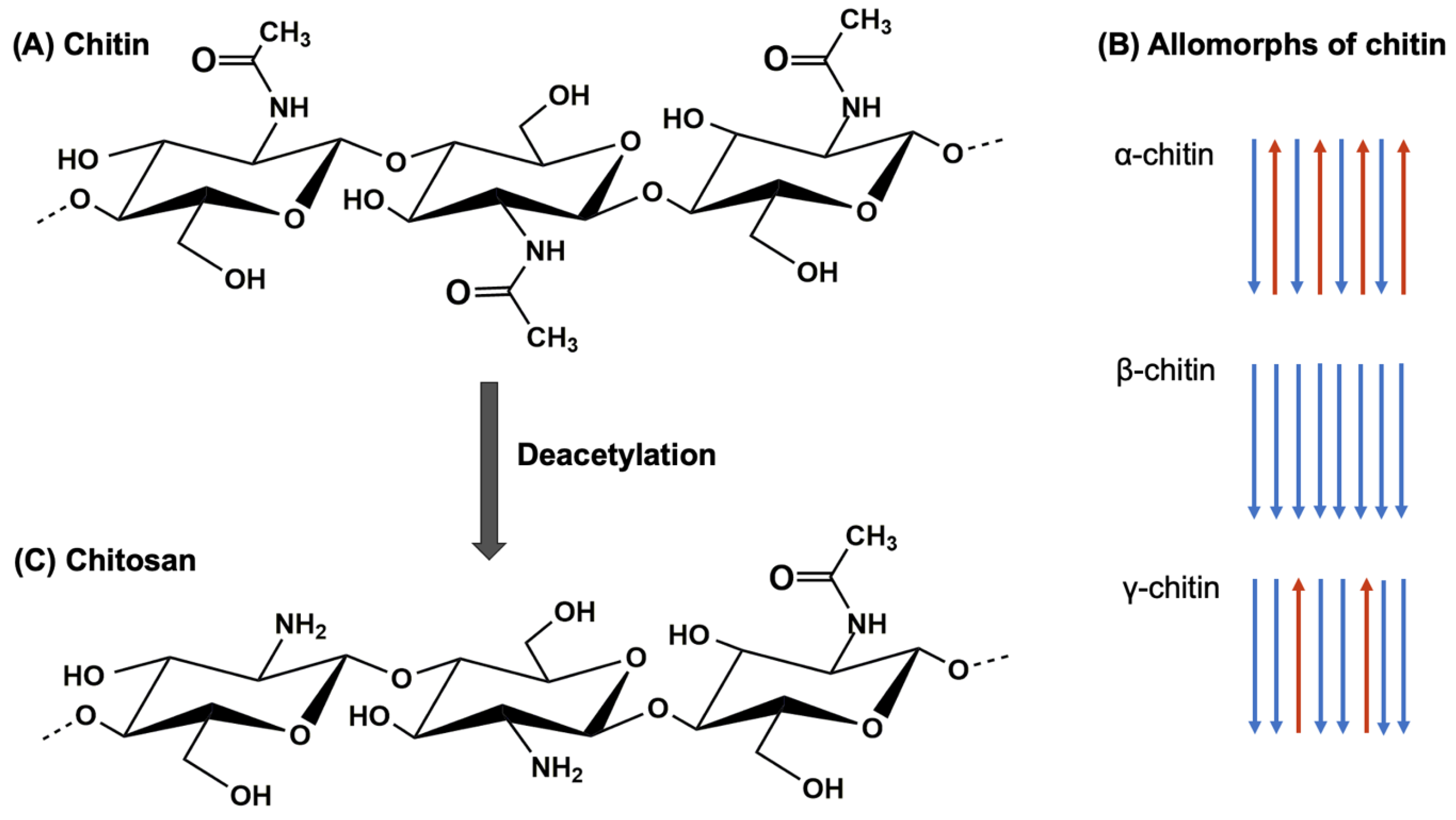 Biomimetics 09 00297 g001