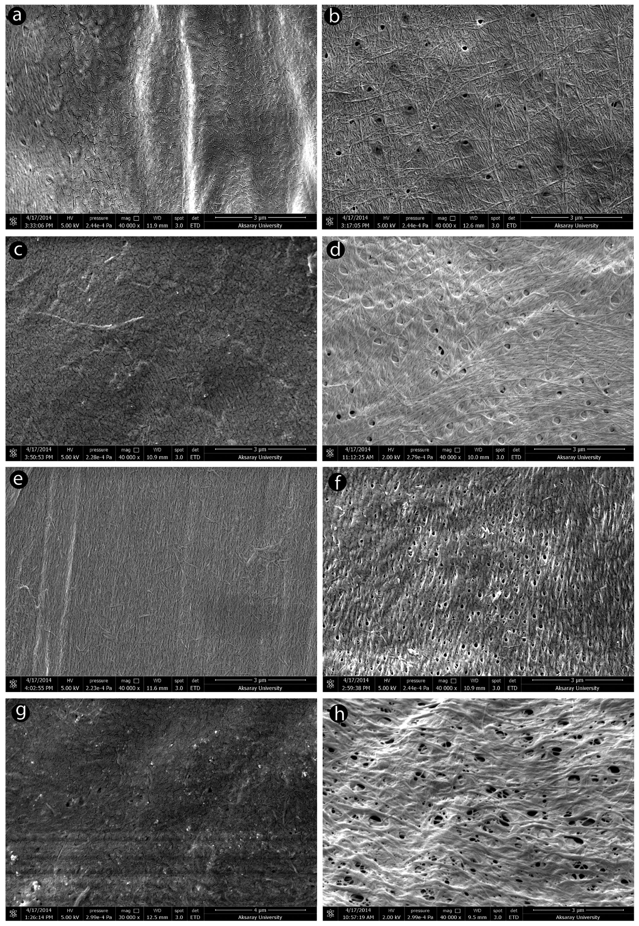 Biomimetics 09 00297 g008