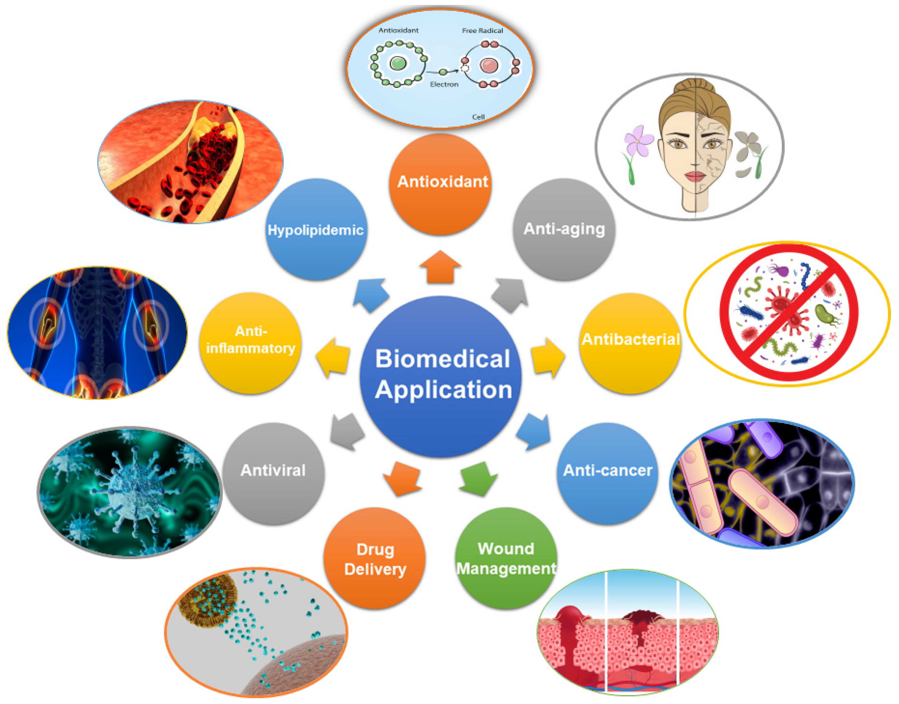 Biomimetics 09 00297 g009