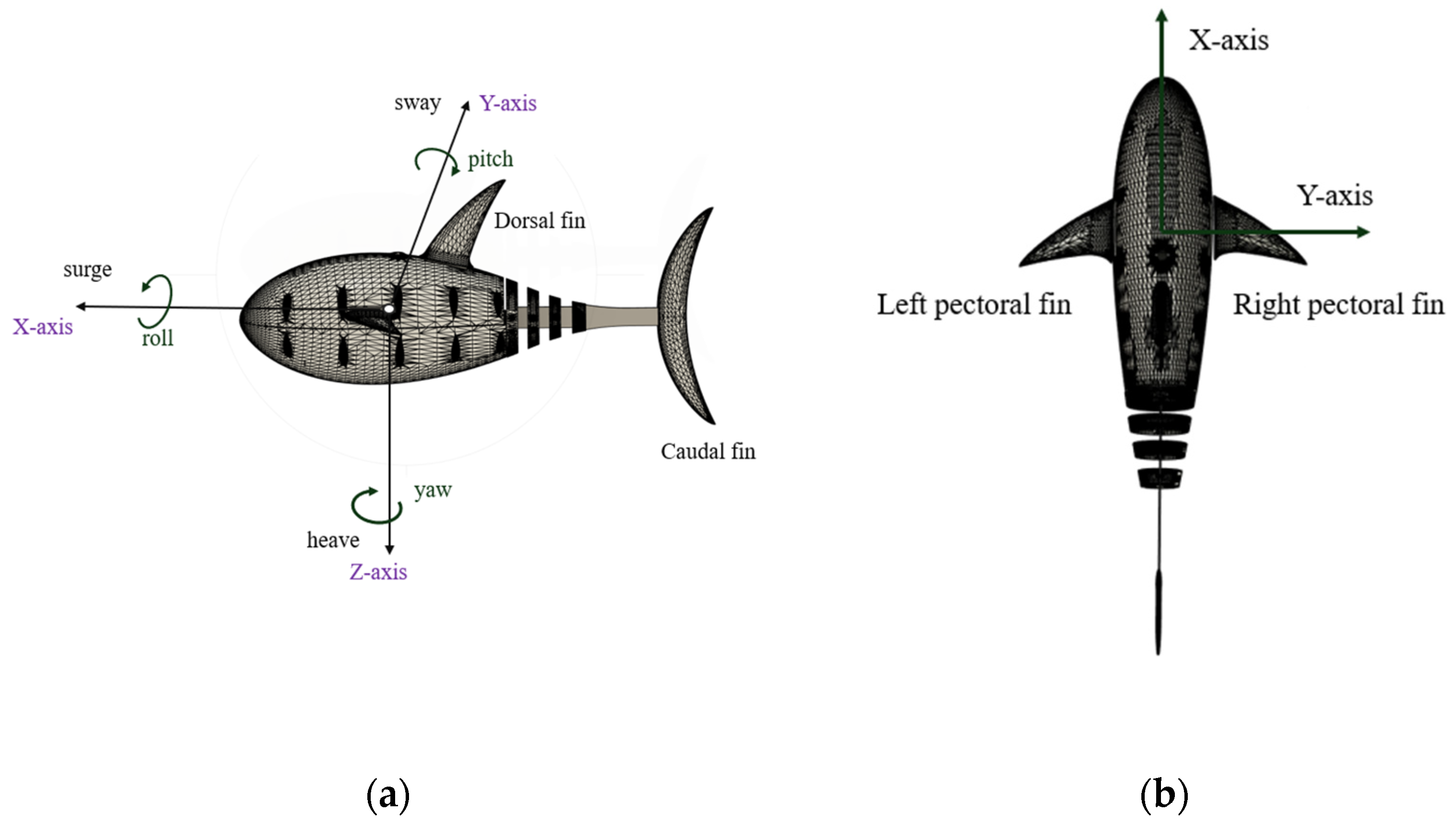 Biomimetics 09 00317 g001