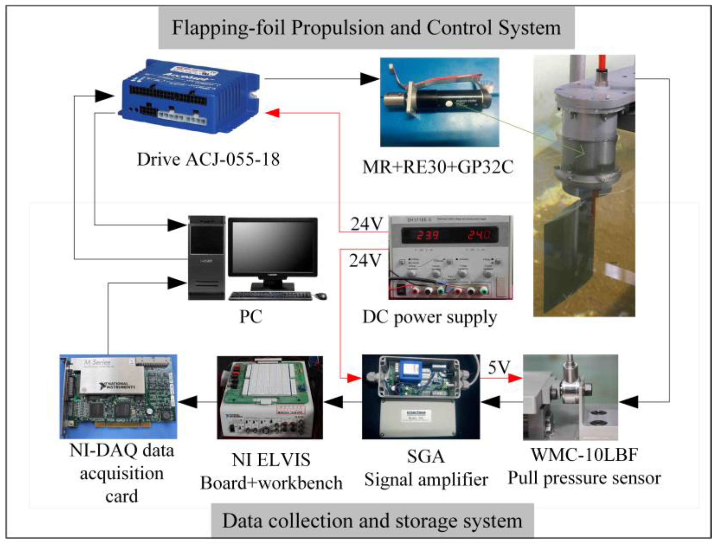 Biomimetics 09 00324 g002