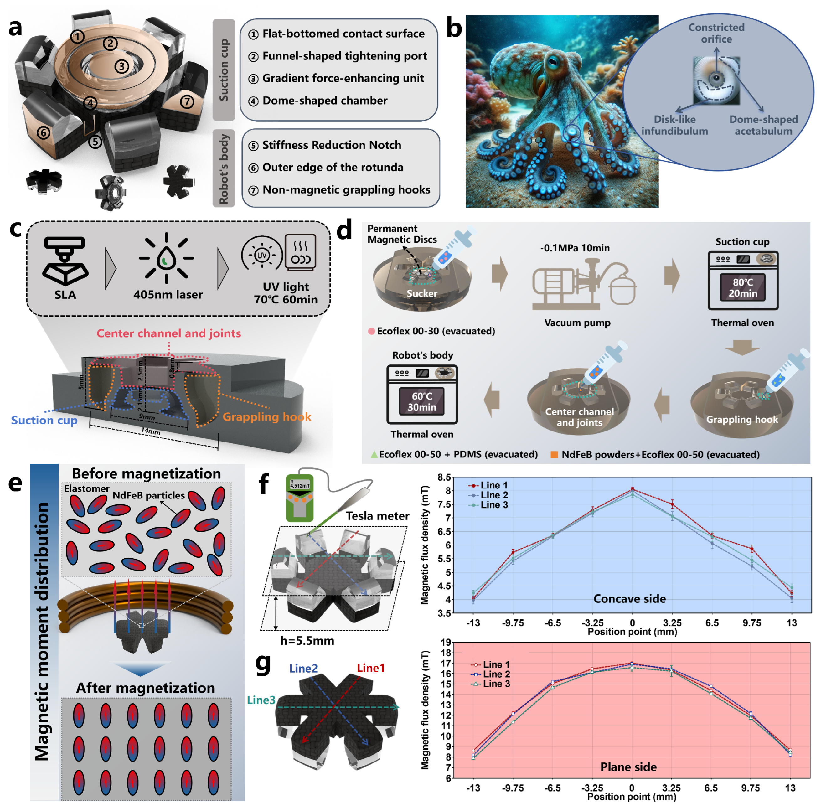 Biomimetics 09 00340 g002