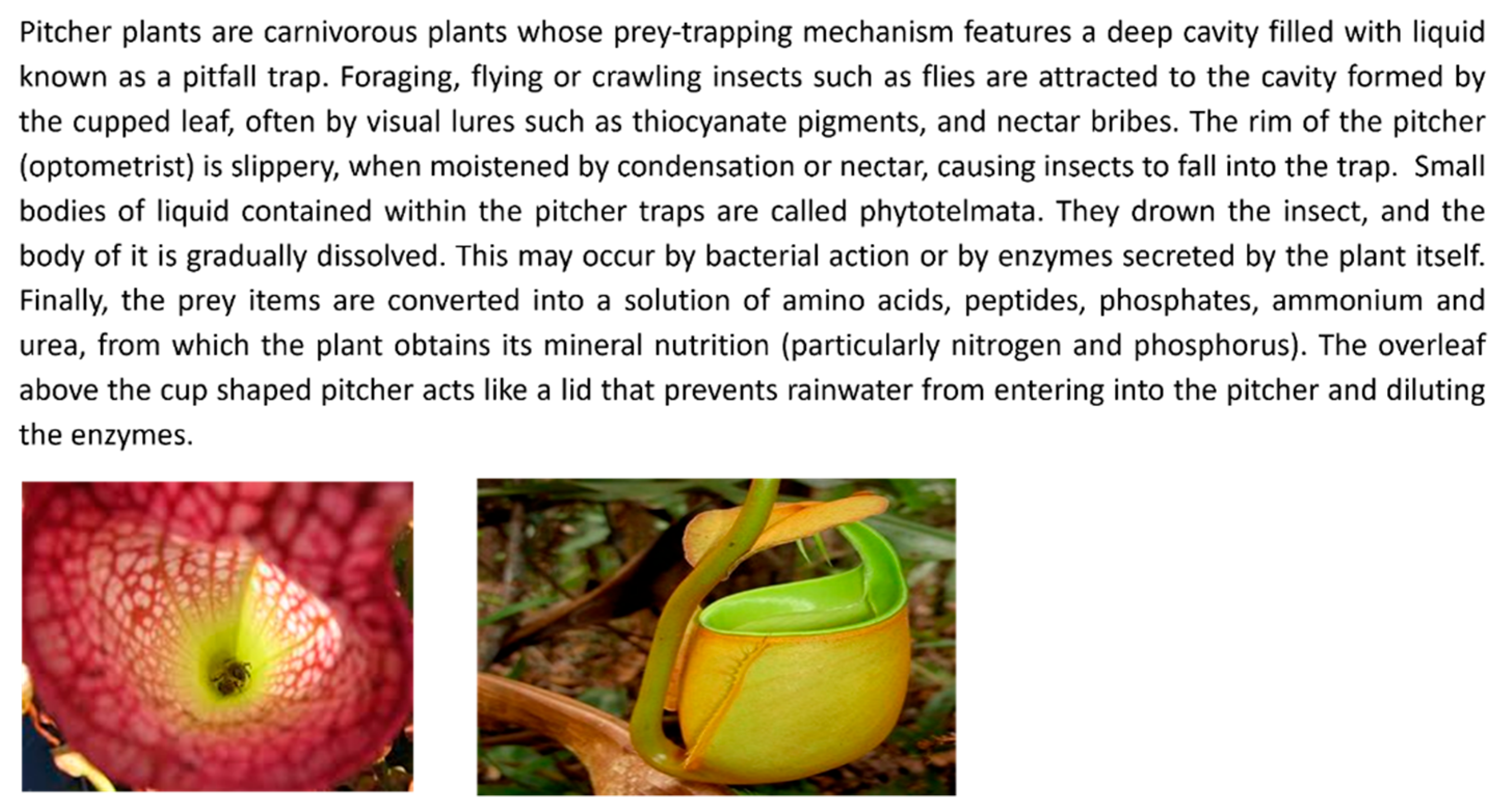 Biomimetics 09 00344 g001