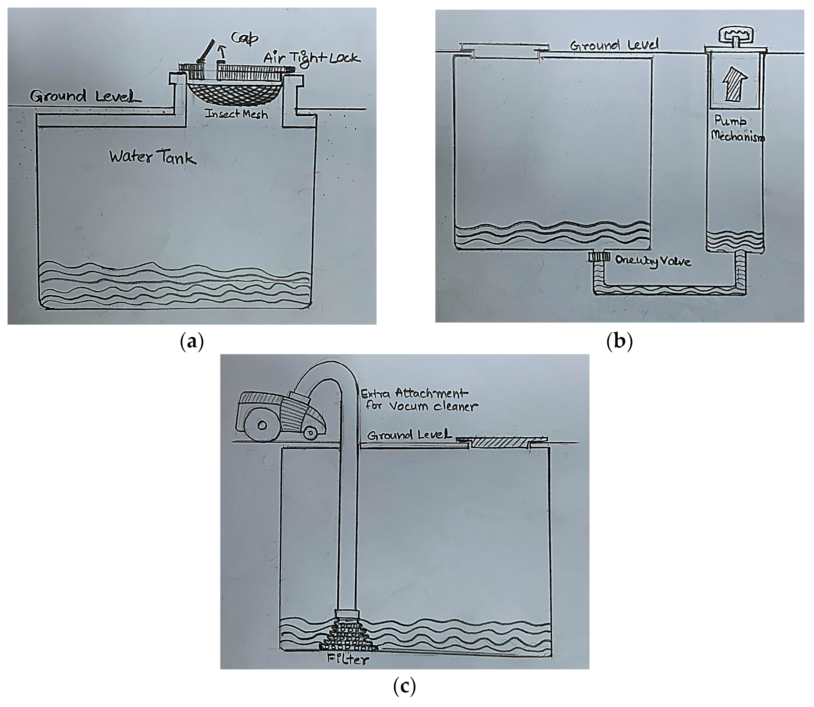 Biomimetics 09 00344 g006