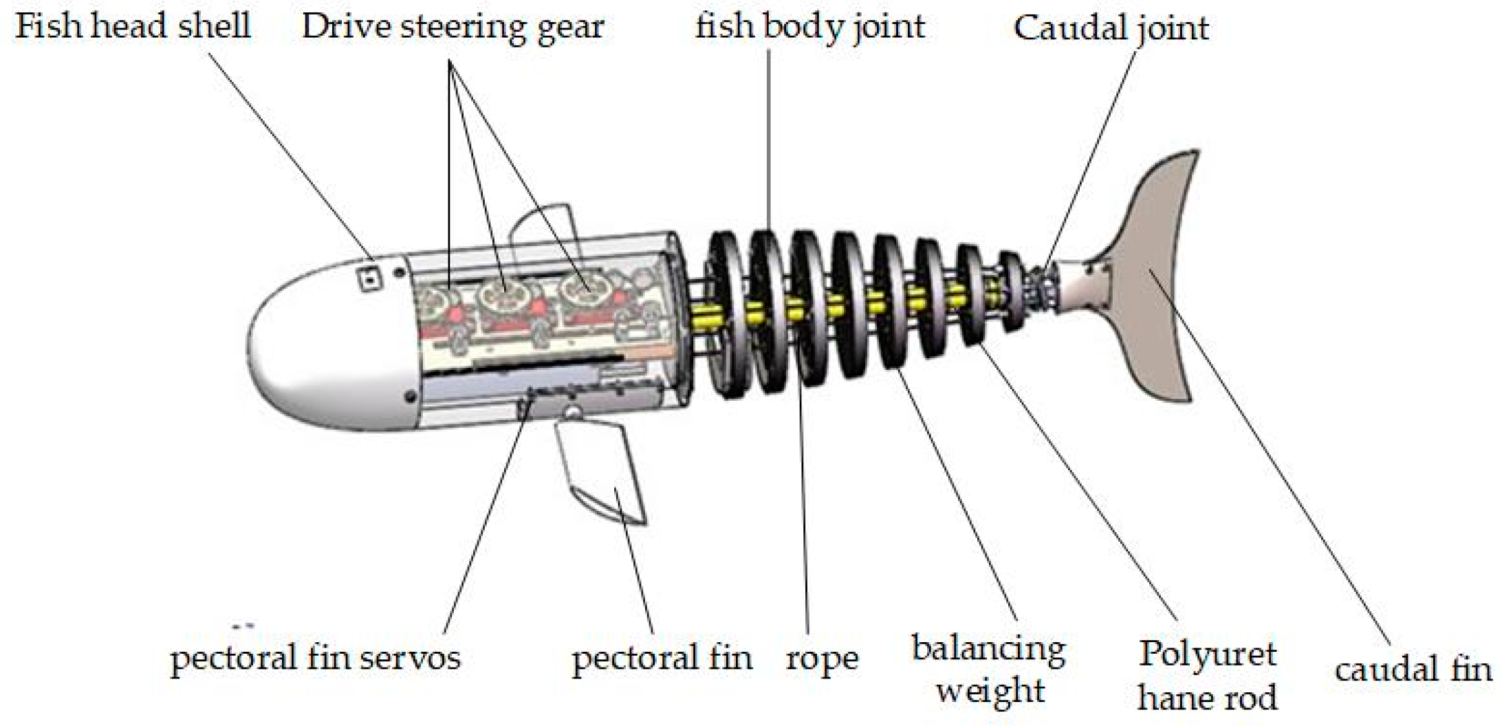 Biomimetics 09 00345 g001
