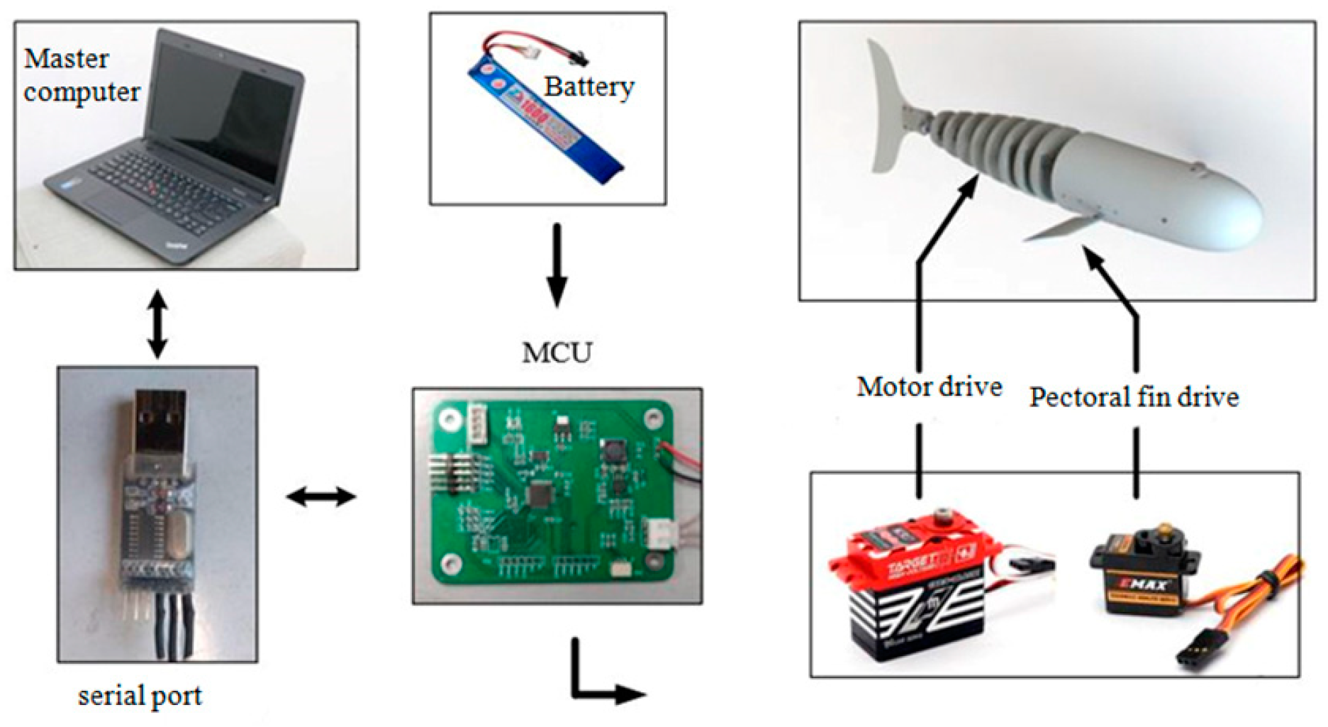 Biomimetics 09 00345 g002