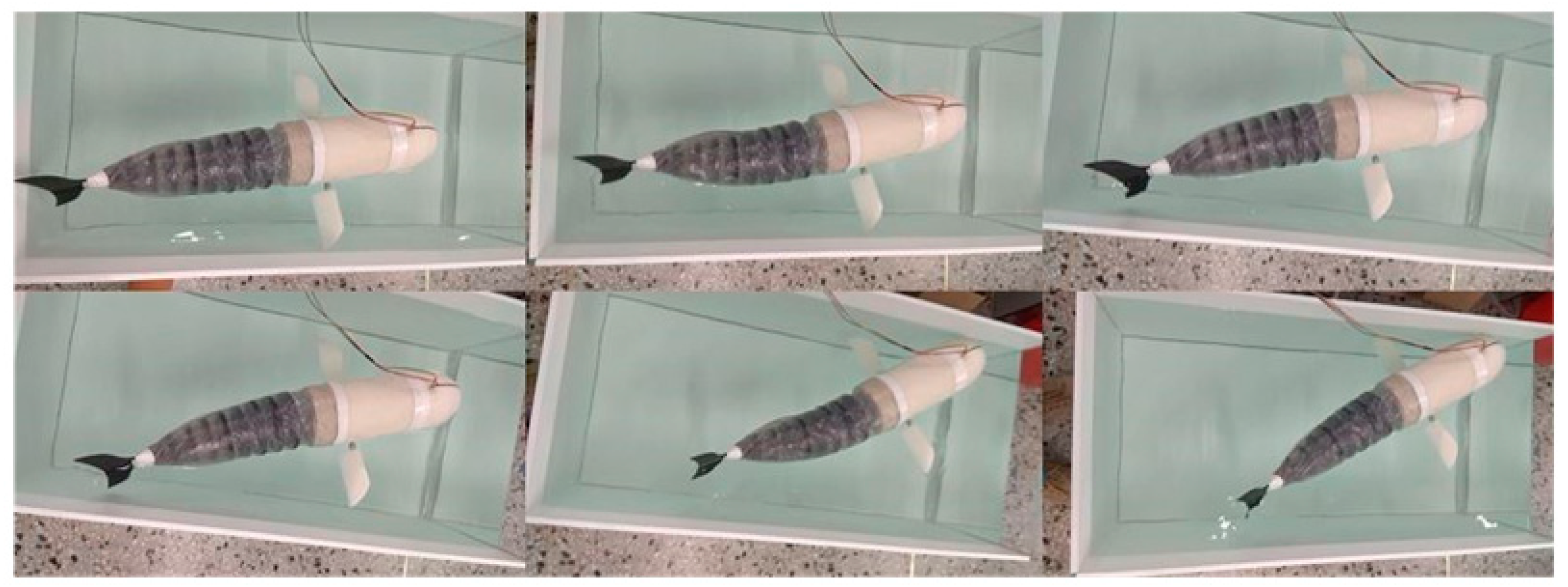 Biomimetics 09 00345 g018