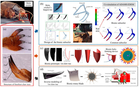 Biomimetics 09 00358 g001