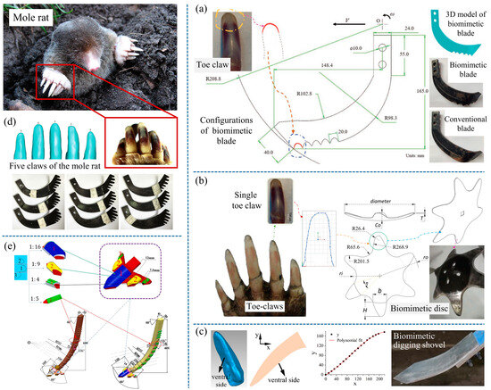 Biomimetics 09 00358 g002