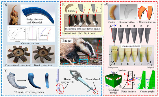 Biomimetics 09 00358 g003