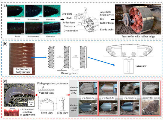 Biomimetics 09 00358 g012