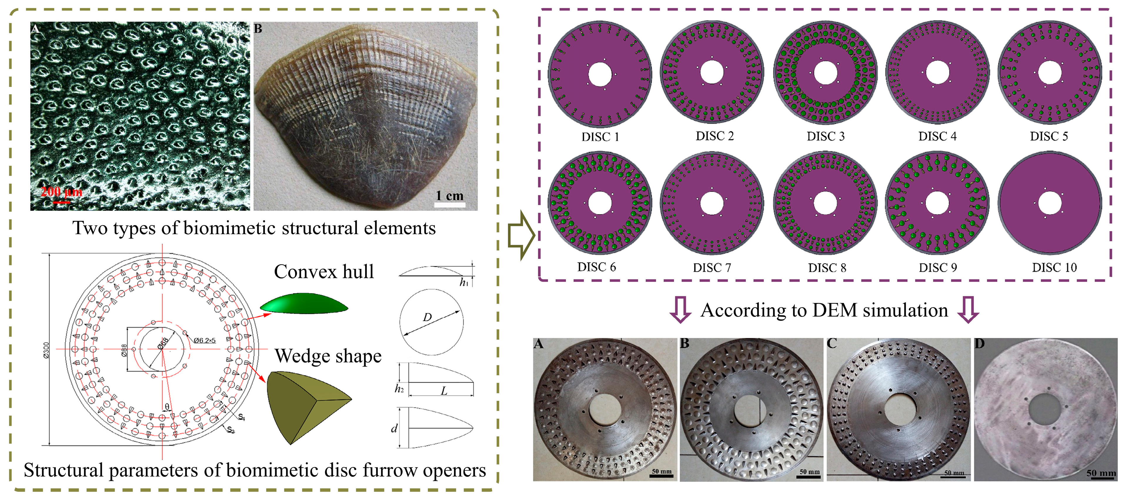 Biomimetics 09 00358 g013 Biomimetics 09 00358 g013