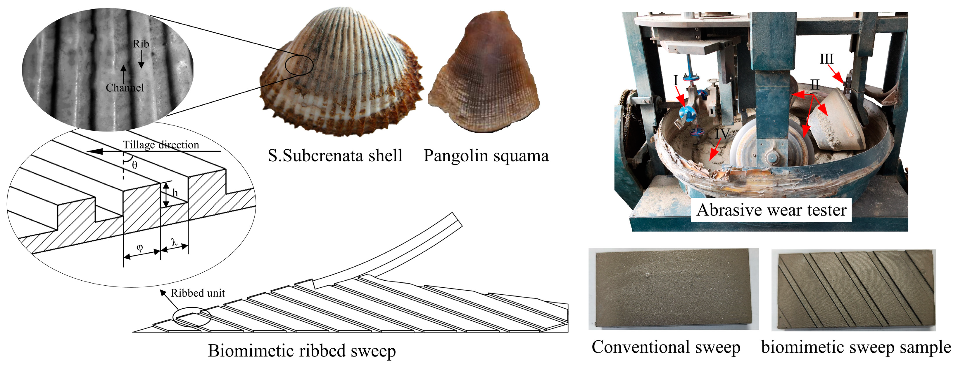 Biomimetics 09 00358 g017 Biomimetics 09 00358 g017