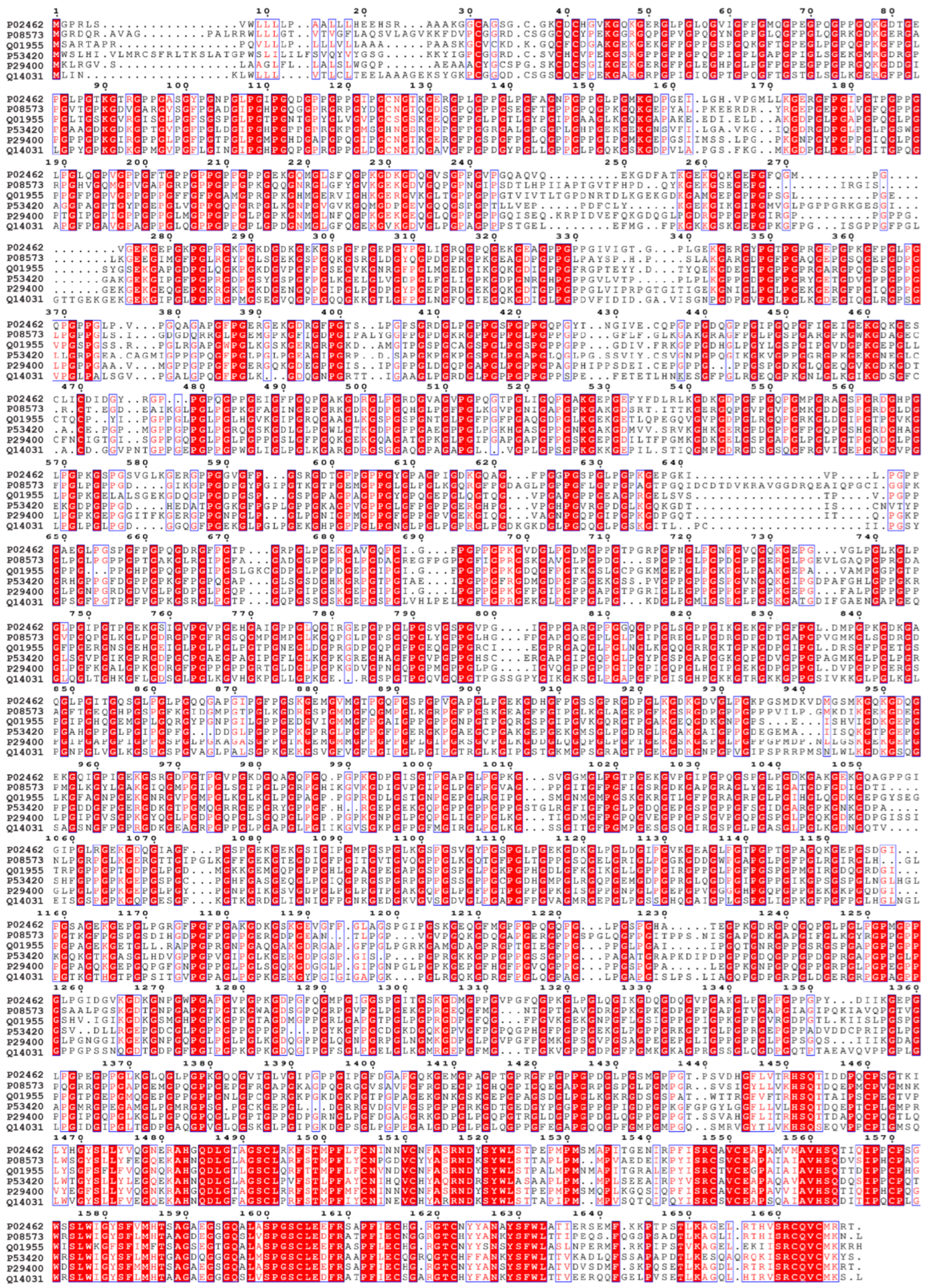 Biomimetics 09 00373 g001