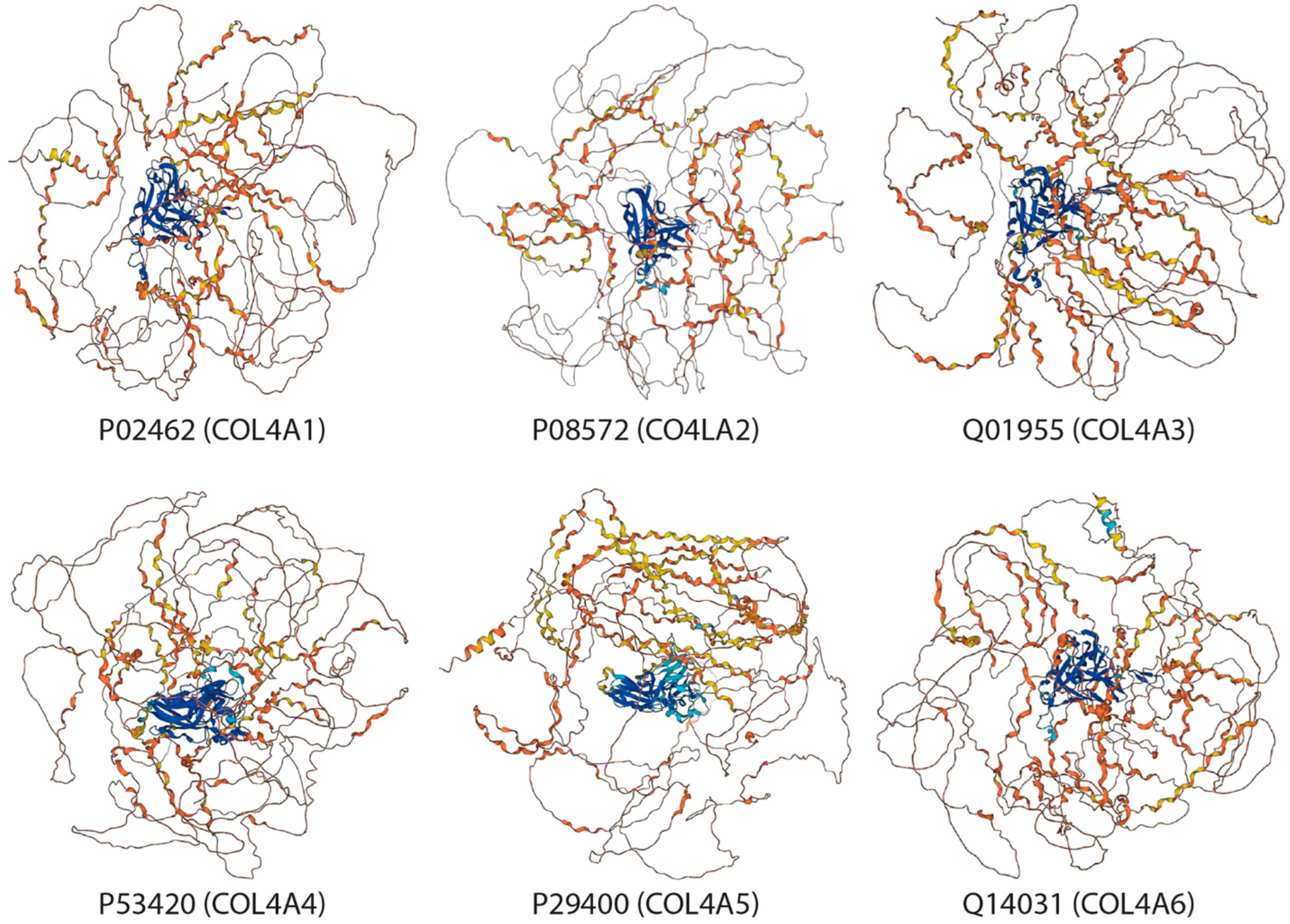 Biomimetics 09 00373 g002