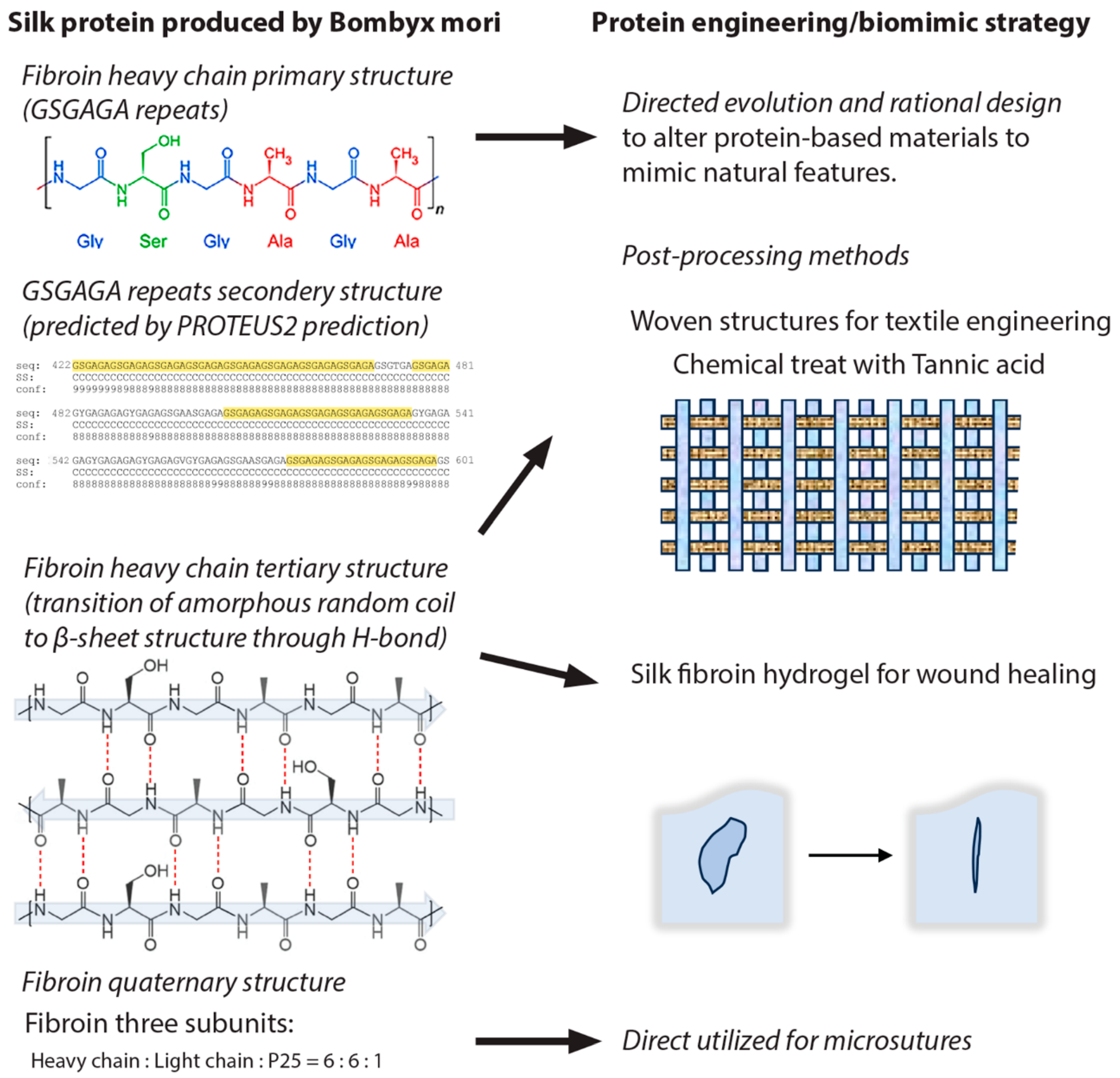 Biomimetics 09 00373 g003