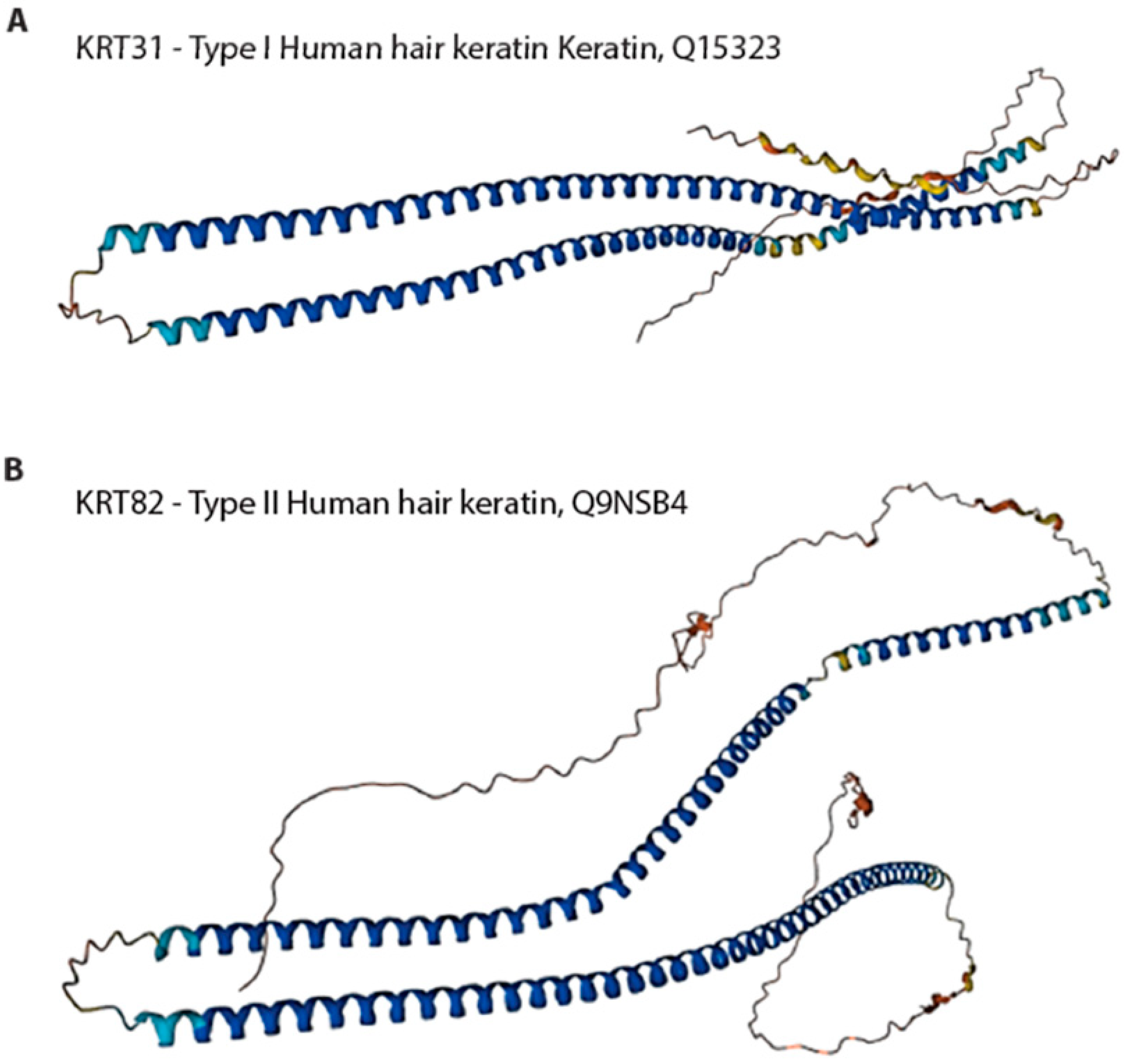 Biomimetics 09 00373 g004
