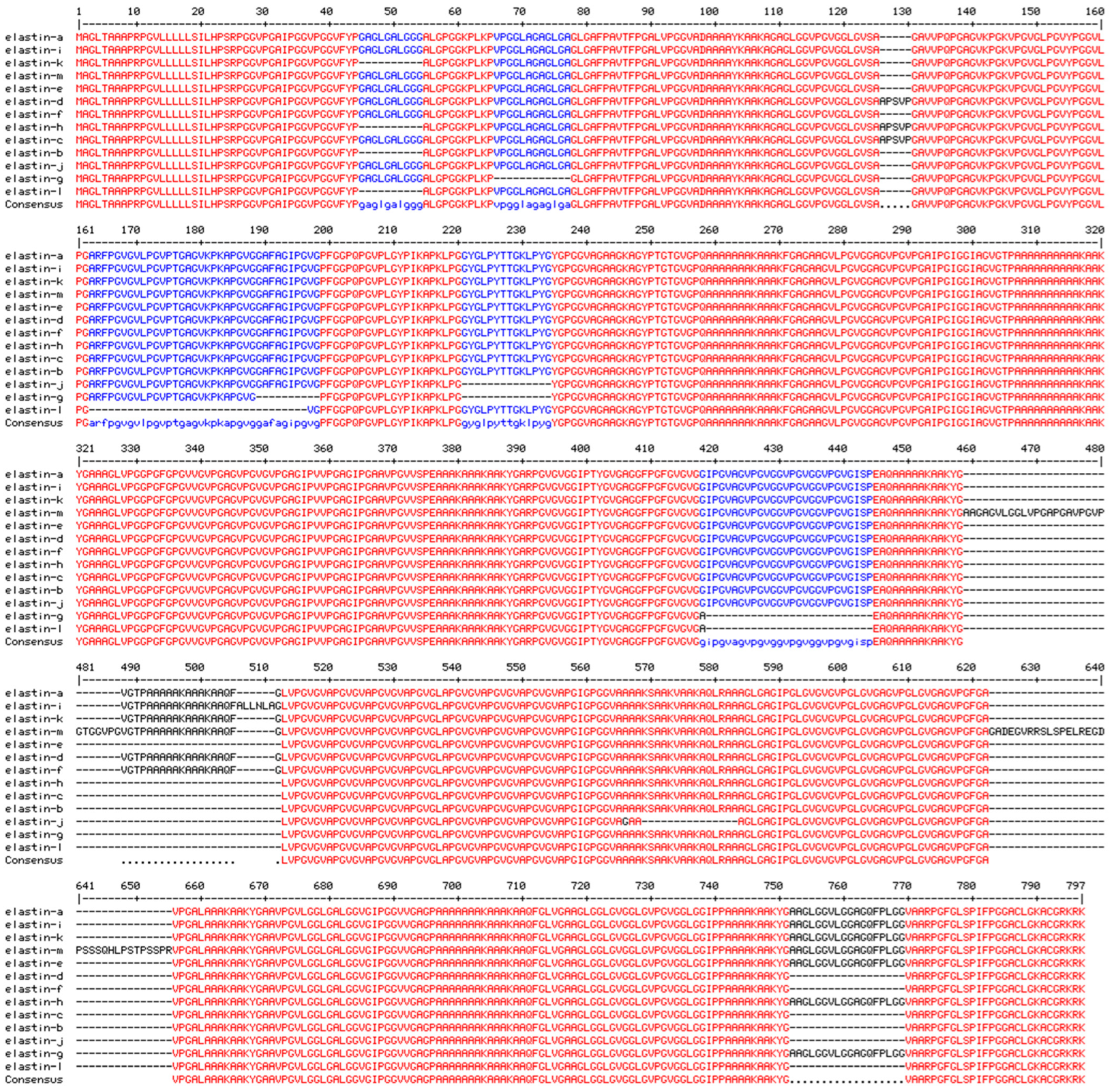 Biomimetics 09 00373 g005
