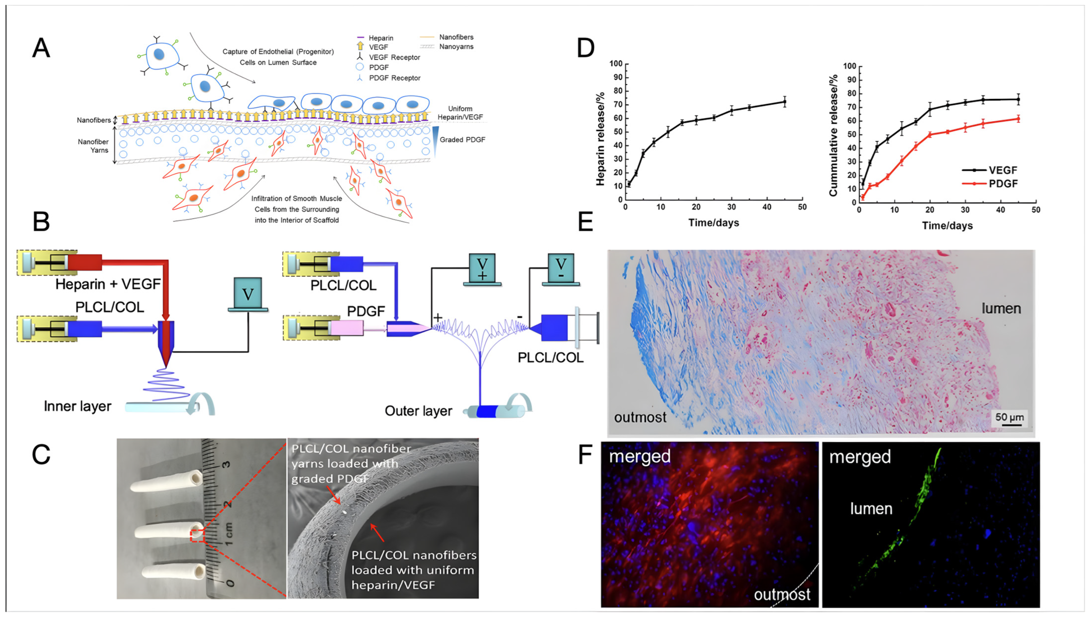 Biomimetics 09 00377 g003