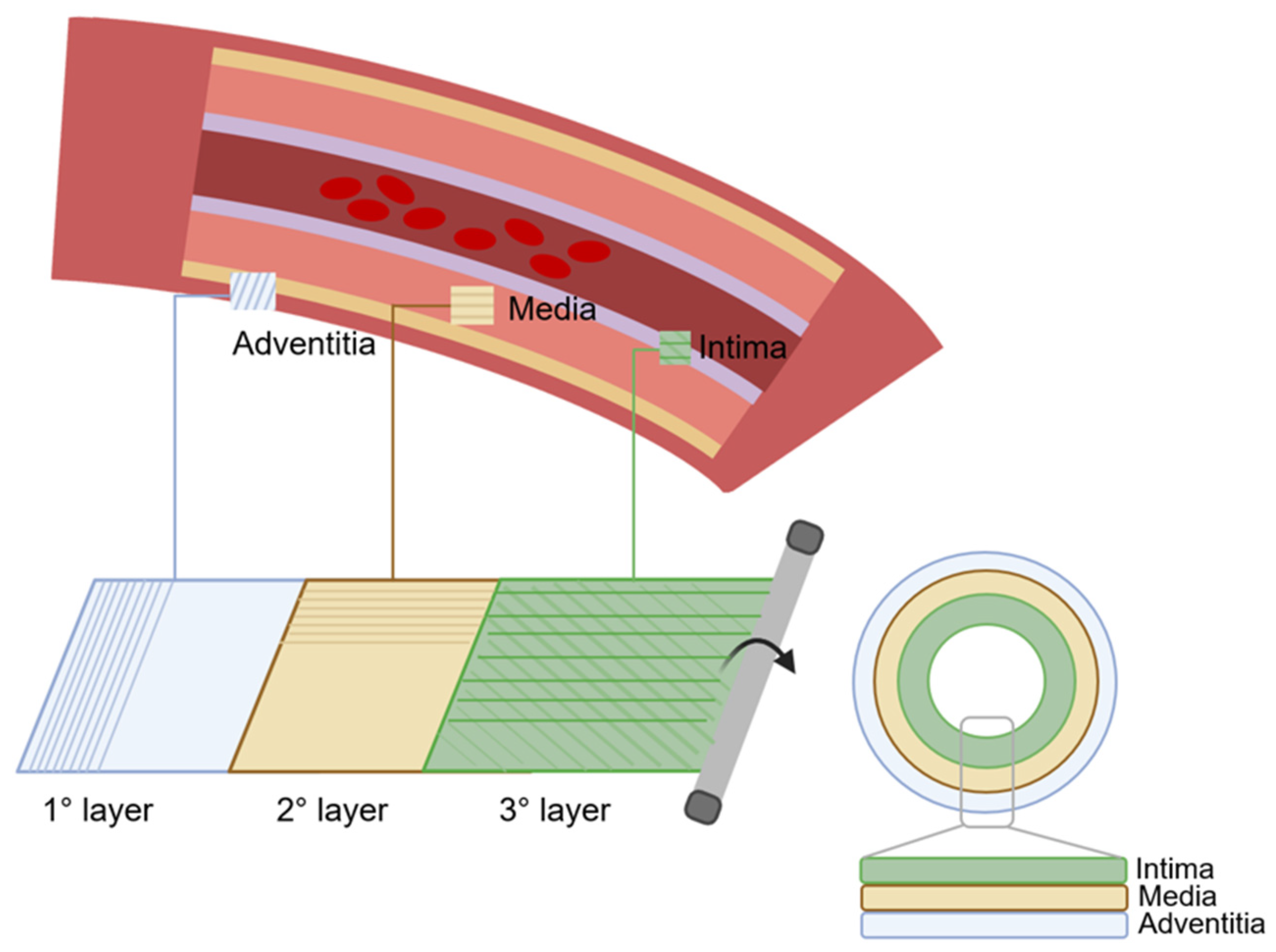 Biomimetics 09 00377 g004