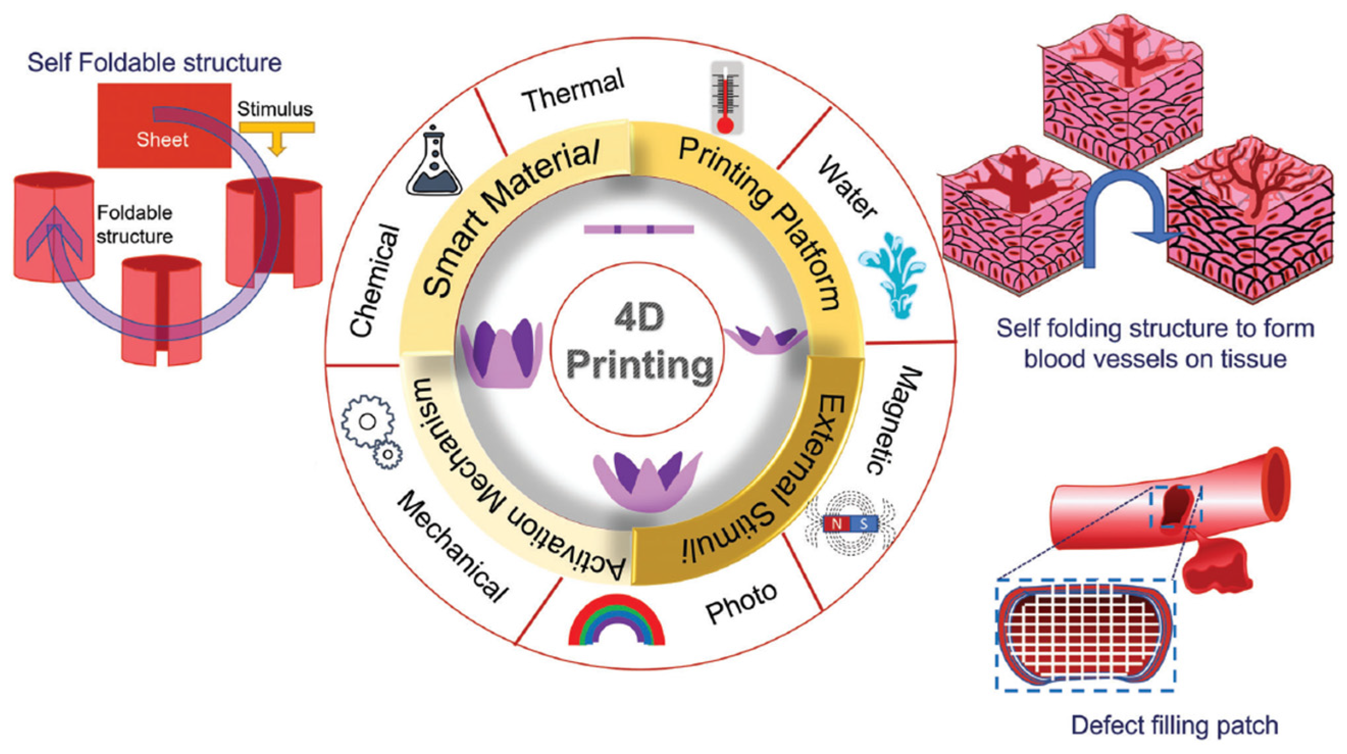 Biomimetics 09 00377 g006