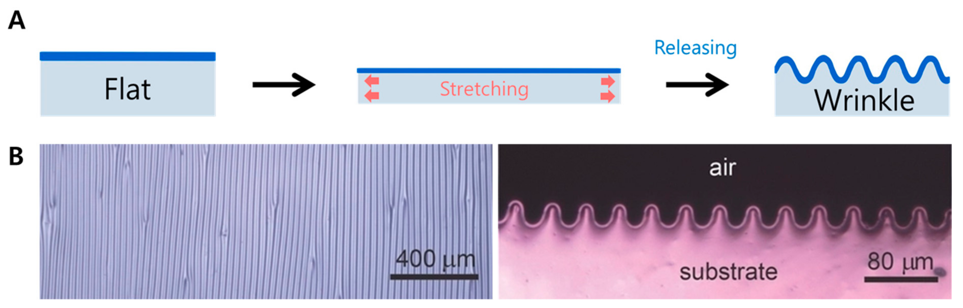 Biomimetics 09 00395 g002 Biomimetics 09 00395 g002