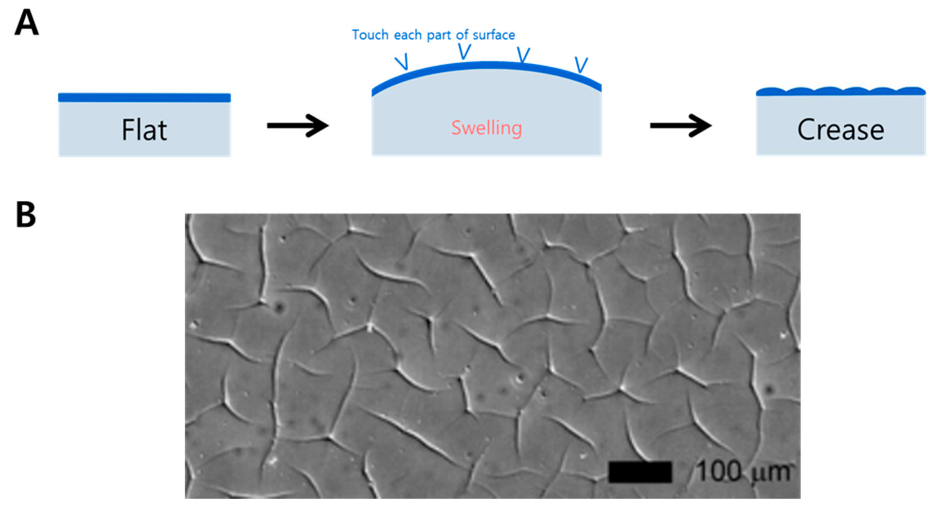 Biomimetics 09 00395 g003 Biomimetics 09 00395 g003