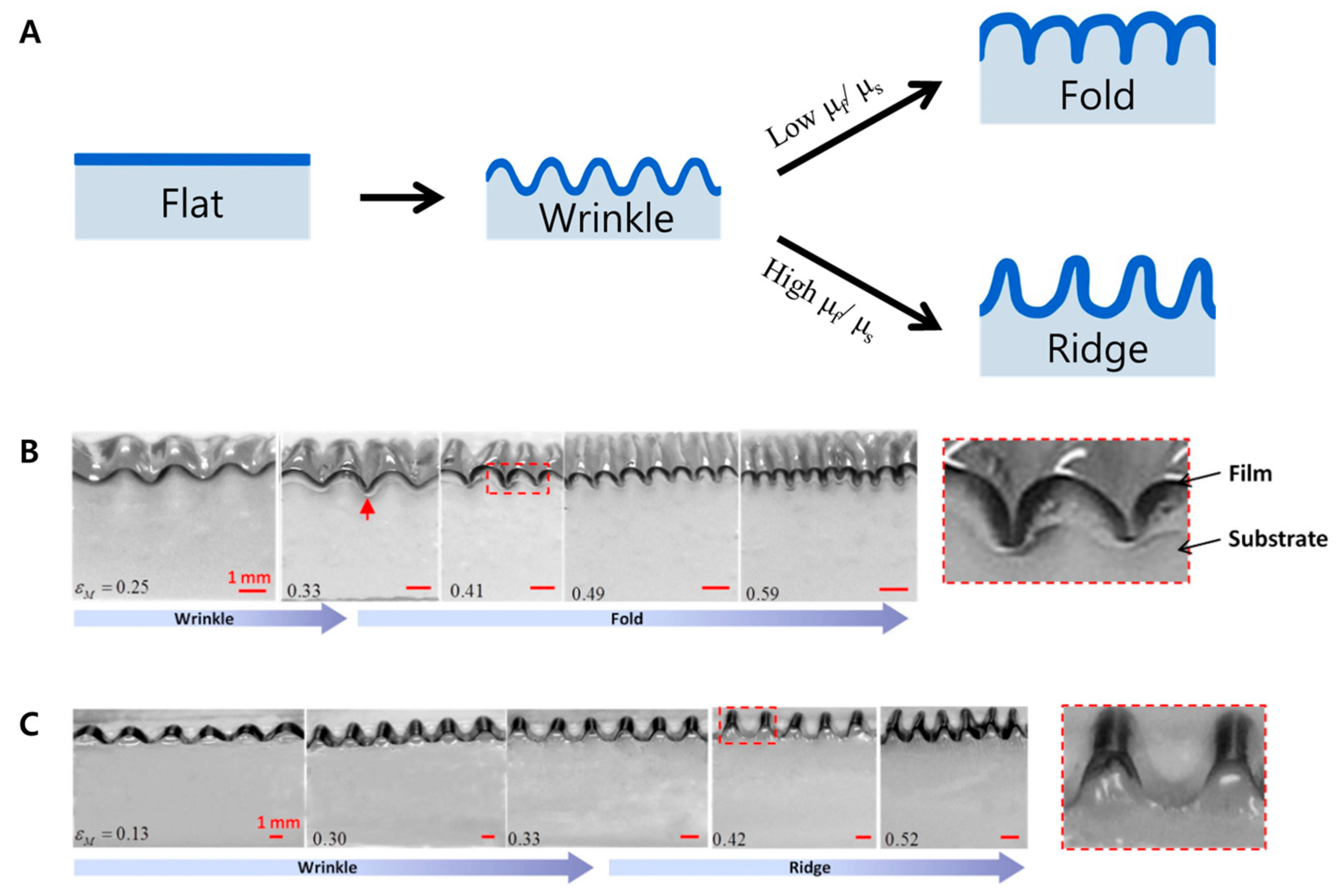 Biomimetics 09 00395 g004 Biomimetics 09 00395 g004