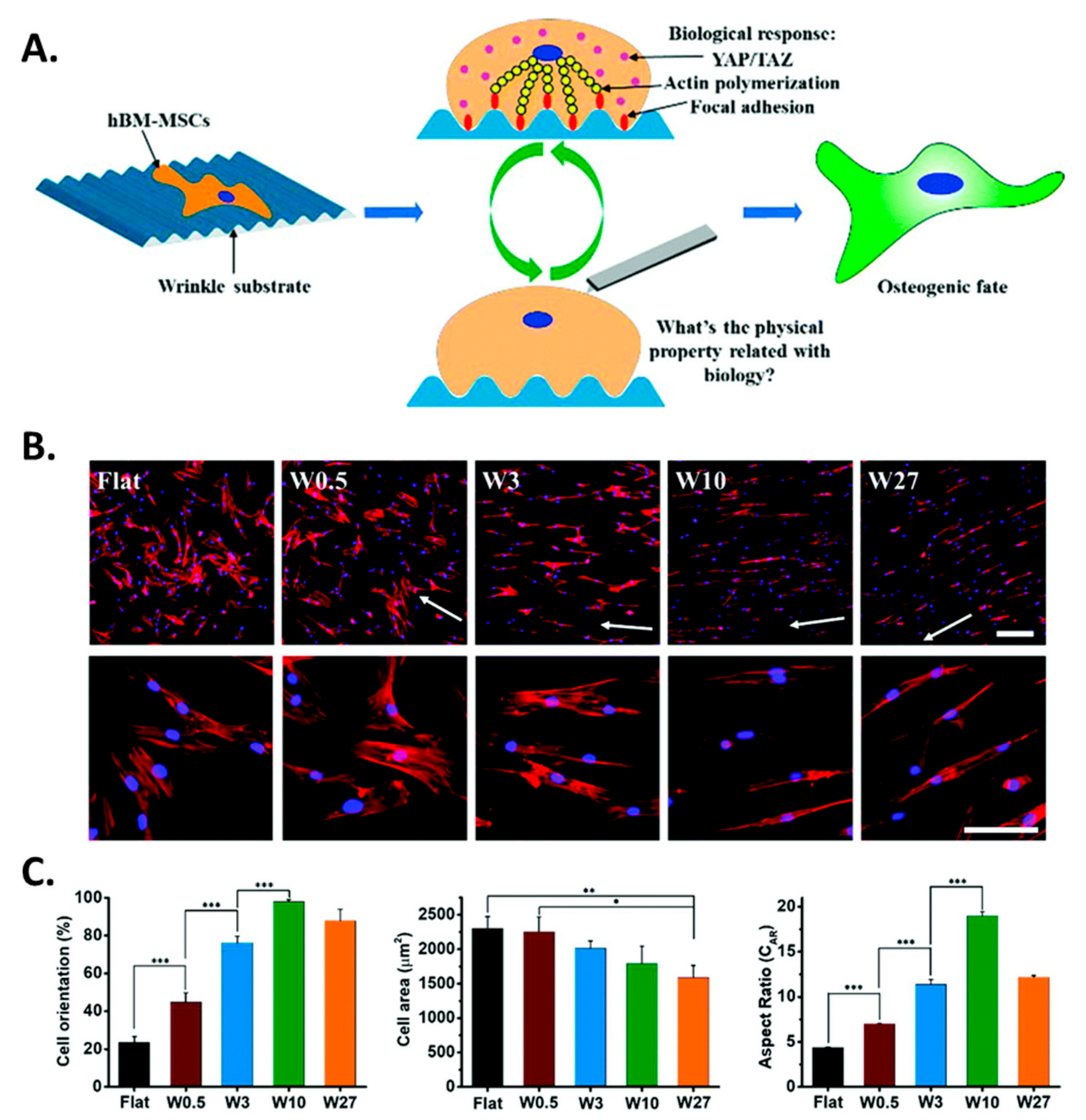 Biomimetics 09 00395 g005 Biomimetics 09 00395 g005