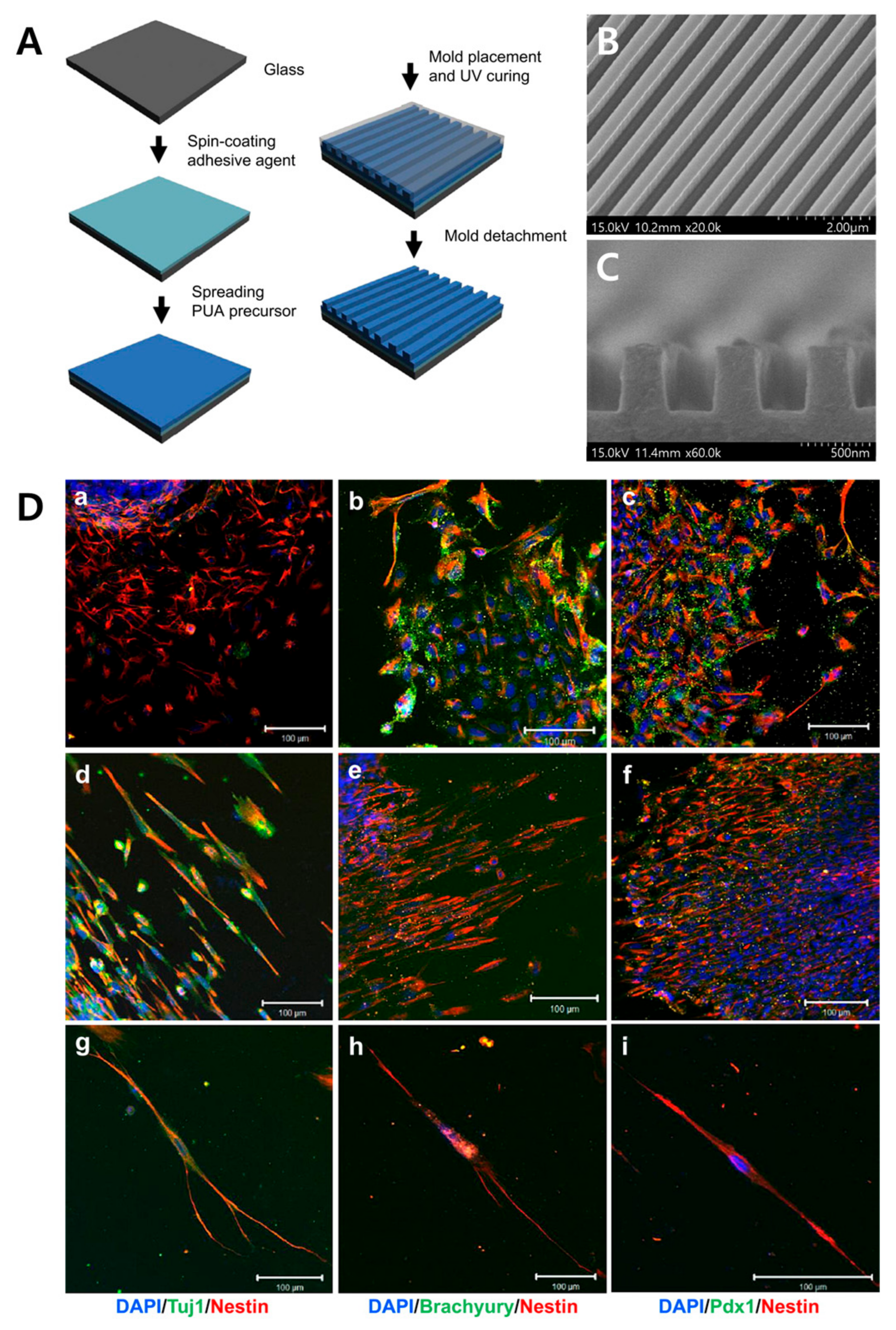 Biomimetics 09 00395 g006 Biomimetics 09 00395 g006