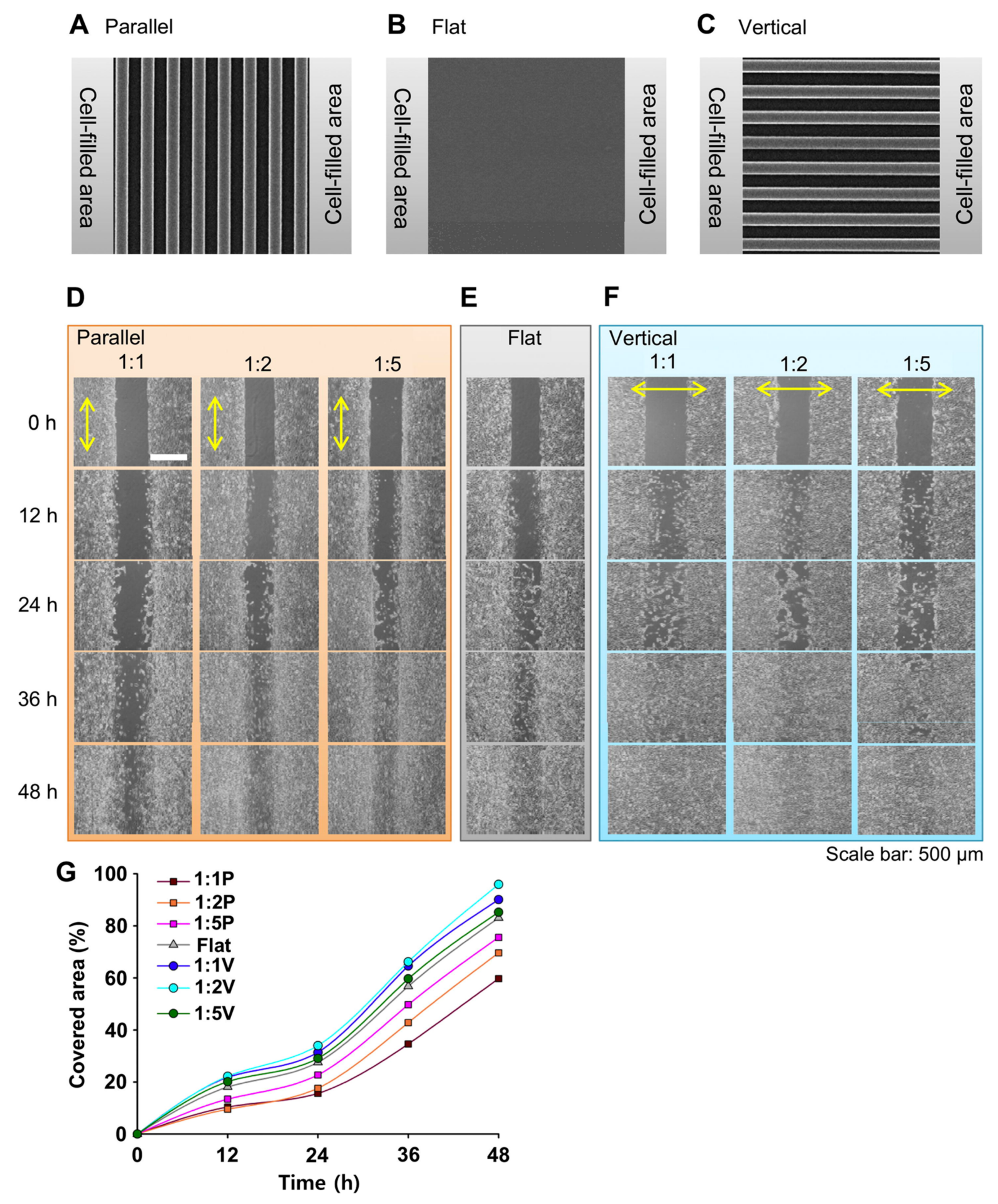 Biomimetics 09 00395 g007 Biomimetics 09 00395 g007
