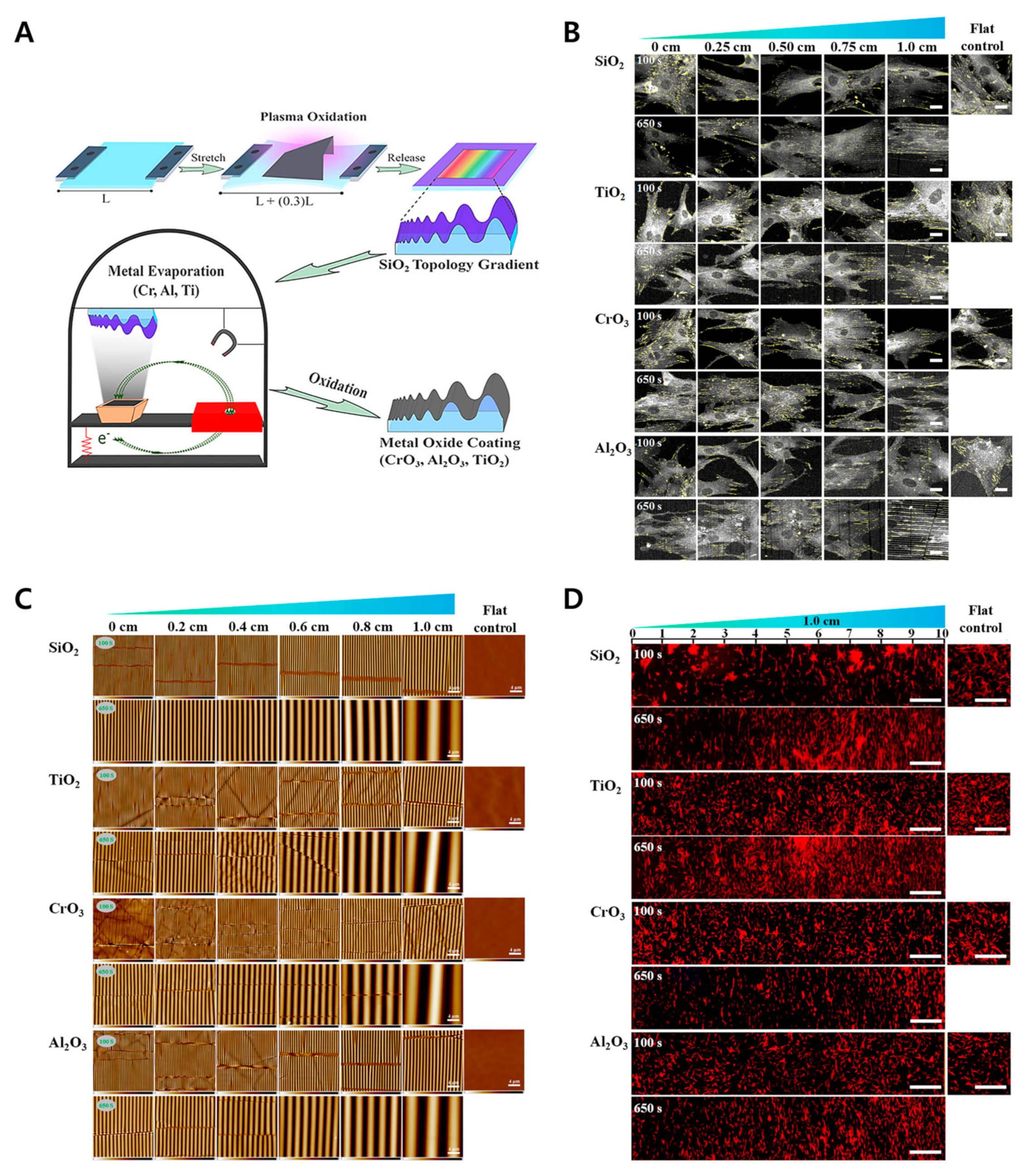 Biomimetics 09 00395 g008 Biomimetics 09 00395 g008