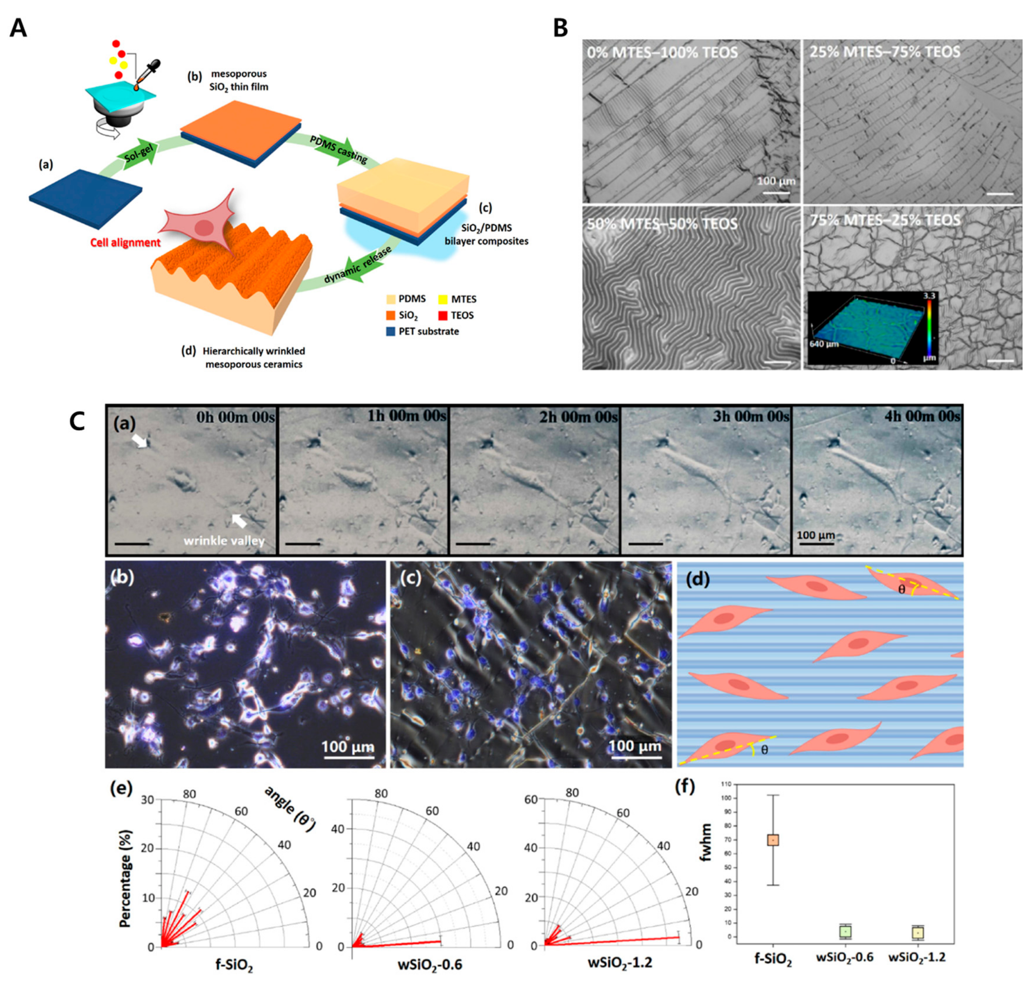 Biomimetics 09 00395 g009 Biomimetics 09 00395 g009