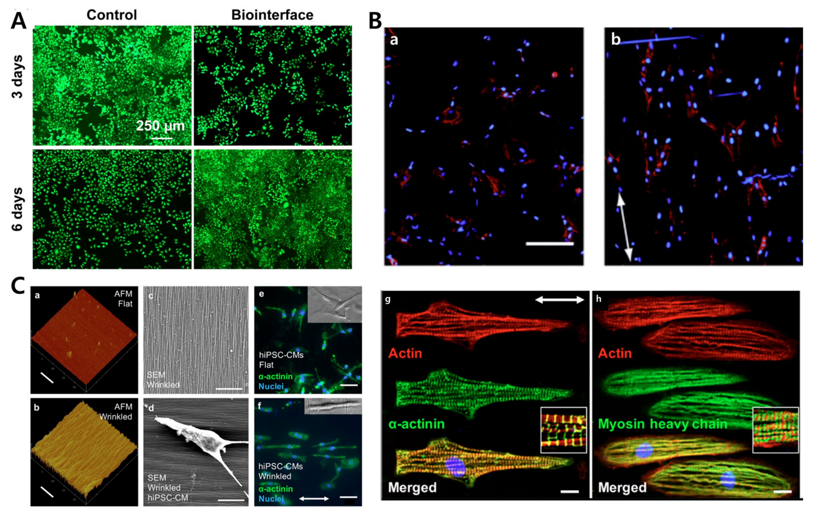 Biomimetics 09 00395 g010 Biomimetics 09 00395 g010